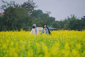Immerse in Golden Rapeseed Fields: Girl's Artistic Photography Amidst Peaceful Charm, Attracting Year-End Visitors.-2