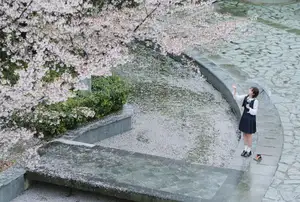 YiTuYu Vol.8649 Xiao Zi: Gentle Spring Beauty, an Aesthetic Portrait Amidst Blossoms.-32