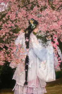 YiTuYu Vol.8666 Xian Lu: Ethereal Hanfu Beauty Amidst Cherry Blossoms-5