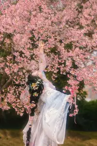 YiTuYu Vol.8666 Xian Lu: Ethereal Hanfu Beauty Amidst Cherry Blossoms-15
