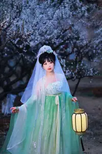 YiTuYu Vol.8718: Zhou Zhou AY - Ethereal Hanfu Beauty Amidst Enchanting Night Blossoms-21