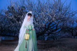 YiTuYu Vol.8718: Zhou Zhou AY - Ethereal Hanfu Beauty Amidst Enchanting Night Blossoms-9
