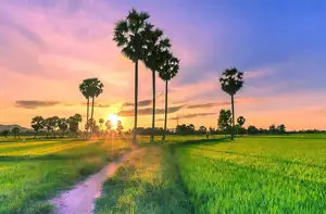 Discover Lang Co: Majestic Natural Beauty, A Peaceful Hidden Gem in Vietnam.-5