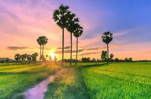 Discover Lang Co: Majestic Natural Beauty, A Peaceful Hidden Gem in Vietnam.-2