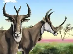 Unbelievable! Synthetoceras: The Hoofed Animal with the Strangest Horns Ever Existed-0