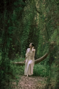 Explore Khanh Hoa's Mossy Melaleuca Forest: Enchanting Beauty Captivates Young Travelers-4