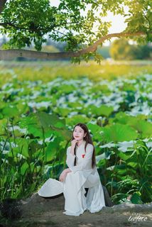 753d3b19ef7b4b999ba296ceec0ad563.jpg