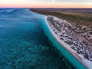 Witness giant sea turtles in Australia's ocean paradise: A magical moment on untouched sands-1