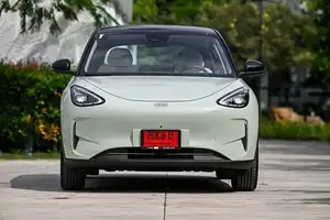 Geely EX2: Unveiling the B-Segment EV Platform Set to Challenge BYD Dolphin.-6