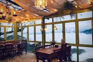 Ta Xua Winter: Discover the pristine beauty of forest flowers amidst majestic mountains-8