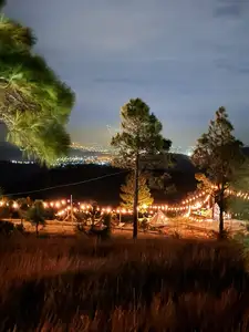 Discover Phoenix Peak Quang Ninh: Mesmerizing Golden Grass Hills for an Unforgettable Trekking Experience-8