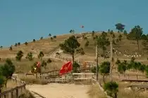 Discover Phoenix Peak Quang Ninh: Mesmerizing Golden Grass Hills for an Unforgettable Trekking Experience-5