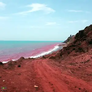 Crimson Sea Mystery: Natural Phenomenon or Strange Omen After Heavy Rain?-1