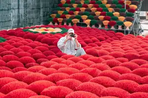 Discover Quang Phu Cau Incense Village: Vibrant Red Hue Draws Tourists Near Hanoi-5