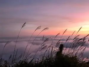 Ta Xua Cloud Hunting: An Unforgettable Experience Amidst Majestic Northwest Sea of Clouds – Discover Hidden Beauty.-11