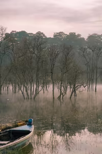 View - Suoi Tia Da Lat: Discover the Ethereal Misty Fairyland at Dawn-10