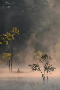 View - Suoi Tia Da Lat: Discover the Ethereal Misty Fairyland at Dawn-0