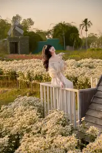 Poetic Beauty in a Daisy Garden: Serene Moments Under Gentle Sunset Glow. Discover This Dreamy Scene!-7