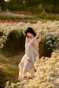 Poetic Beauty in a Daisy Garden: Serene Moments Under Gentle Sunset Glow. Discover This Dreamy Scene!-9