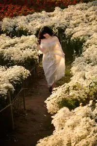 Poetic Beauty in a Daisy Garden: Serene Moments Under Gentle Sunset Glow. Discover This Dreamy Scene!-5