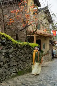 Lolo Chai: Uncover the Rustic Beauty of an Ancient Village & Its 'World's Most Enduring' Persimmon Tree, a Tourist Magnet-8