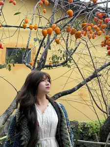 Lolo Chai: Uncover the Rustic Beauty of an Ancient Village & Its 'World's Most Enduring' Persimmon Tree, a Tourist Magnet-6