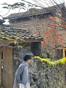 Lolo Chai: Uncover the Rustic Beauty of an Ancient Village & Its 'World's Most Enduring' Persimmon Tree, a Tourist Magnet-0