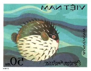 Close-up of Porcupinefish: Master of Defense with Sharp Spines, a Predator's Unforgettable Bite in the Deep Sea-8