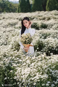 Elegant Vietnamese Woman in White Ao Dai Amidst Blooming Daisy Field - VGU No.123-5