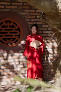 Graceful Vietnamese Traditional Ao Dai: Timeless Elegance 1000024747-10