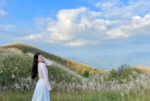 Discover Binh Lieu Stunning Reed Grass Fields Majestic Vietnam Nature View-2