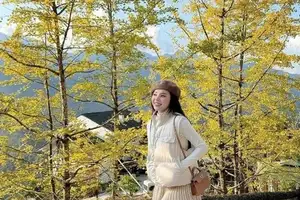 Sa Pa's Golden Ginkgo Season: A Romantic Mountain Escape for End-of-Year Check-ins-7