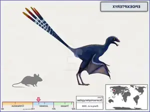 Epidexipteryx Dinosaur: Jurassic Creature with Peacock-like Feathers, Unique Teeth, and Avian Evolution Mystery-7