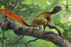 Epidexipteryx Dinosaur: Jurassic Creature with Peacock-like Feathers, Unique Teeth, and Avian Evolution Mystery-1