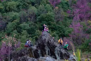 Discover Mù Cang Chải's Tớ Dày Flower Season: The Captivating Beauty of Northwestern Mountains Awaits You!-0