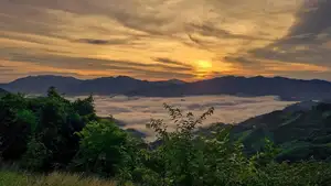 Noc Tak Po Da Nang: The Ultimate Cloud Hunting & Camping Spot Amidst Majestic Sea of Clouds. Explore Pristine Mountain Beauty!-1