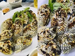 Mekong Delta's Humble Fish: Transformed into an Exquisite Grilled Delicacy for Food Lovers.-5