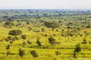 Discover Garamba National Park: Sanctuary of the World's Rarest White Rhinoceros-4