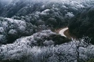 Discover Vietnam's Enchanting Winter Wonderland: Mystical Frost-Covered Landscapes Await You-14