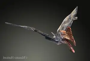 View: Tapejara - Bizarre Cretaceous Flying Reptile with Unique Giant Crest-7