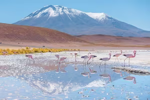 Discover Salar de Uyuni: A Spectacular Mirror Effect at the World's Largest Salt Flat, Where Sky Meets Earth-6