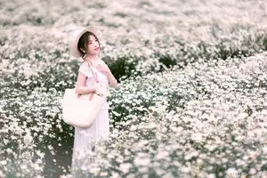 Moc Chau's Pure White Daisy Fields: A Muse Amidst a Floral Wonderland, Perfect for Stunning Photoshoots.-8